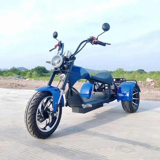 Citycoco Adult Electric 3 Wheel Scooter Max Load 250KG 18Inch Fat Tire Electric Motorcycle Max Speed 35KM/H 1500W Powerful Motor